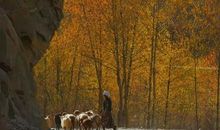 浮华流尽，寻找心中瑰宝