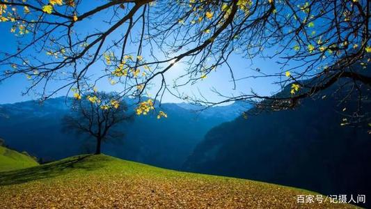 那个有趣的春天之旅