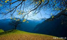 那一次有趣的春游