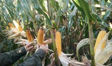 成功源自慢的积累