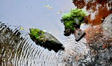 笑对自然，笑看人生