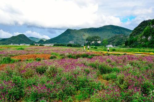 田园旅行