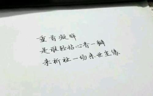 有一种称为忠诚的美丽
