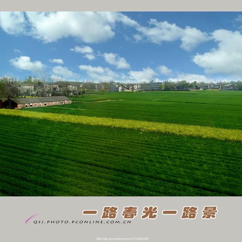 甄藏春天
