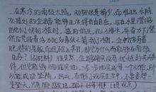 精采的瞬间作文初中