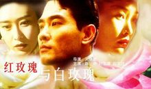 红玫瑰与白玫瑰