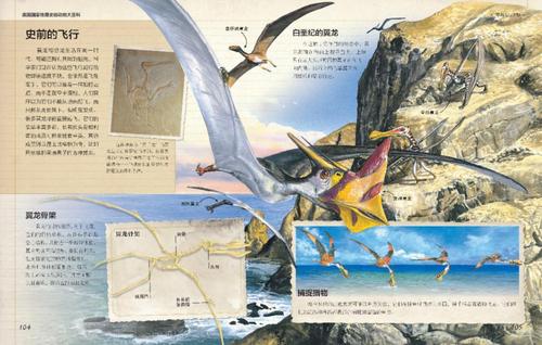 在书中飞行翅膀