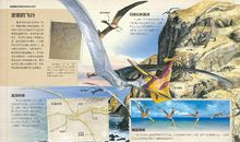 在书海中展翅翱翔