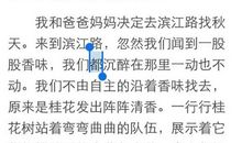 我眼中的他(她)作文