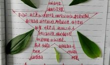 参观部队的心得体会