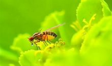 春天从精神家园来