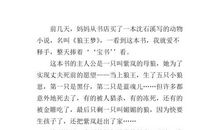 伟大的母爱——读《狼王梦》有感