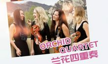 呼唤那黎明的钟声