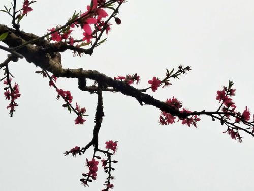 河源押韵