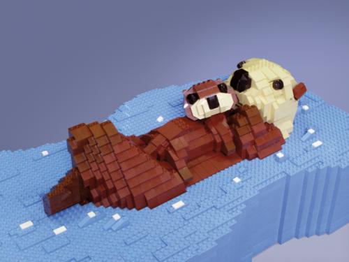 家是一个美丽的名字