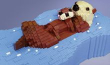 家是一个美丽的名字