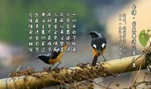 人生路上的过客