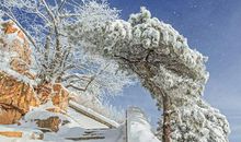 春天从寒冬里来