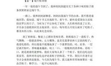 我的端午情作文