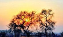 我与冬日暖阳的初次相遇