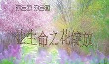 修养所绽放之花