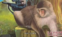 橘子最令我着迷