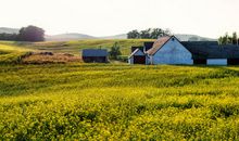 乡村生活的一年四季