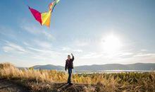 我想拥有一只风筝