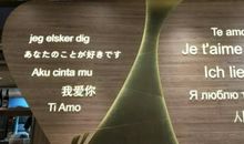 浇灌成功的花朵