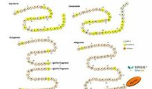 成功到底离我们多远