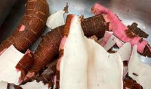 美食中的苦与甜