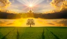 亘古不变的守望