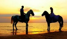 有一种永恒叫友情