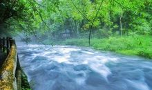 如果我是一条溪流