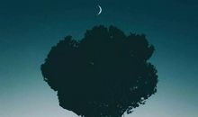 你是世界上最好的