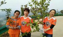 尝试让我收获喜悦