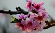 倾听让我们如此美丽