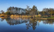 那抹绿，在我心中荡漾