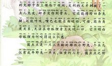 好书推荐——《兔王圆点点》