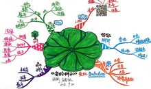 为尊严高歌——读《简·爱》有感