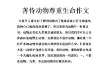 为生命化妆作文开头