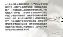 《黑天鹅紫水晶》读后感