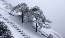 153天的寒冬读后感