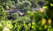 想起家乡那方土地