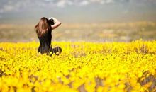 慢下来，你会发现别样的风景