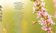 春天的足音作文