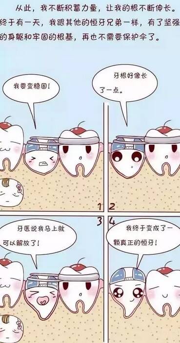 爸爸的增长故事