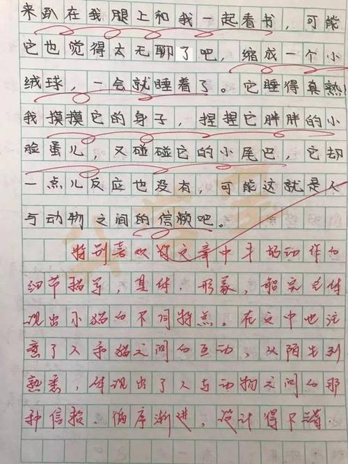 坚持自我复合离子