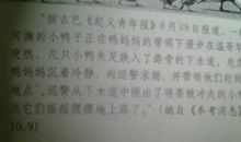 偶尔停一下真好作文600字