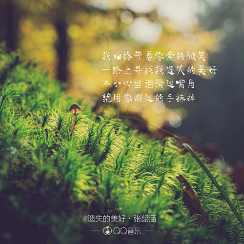 追求失去的美丽